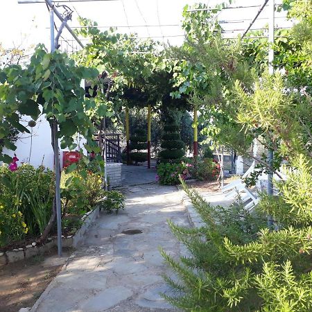 Studio Zoi Βίλα Αλυκή Εξωτερικό φωτογραφία