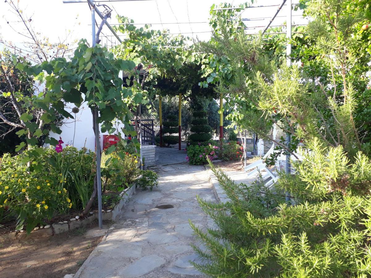 Studio Zoi Βίλα Αλυκή Εξωτερικό φωτογραφία
