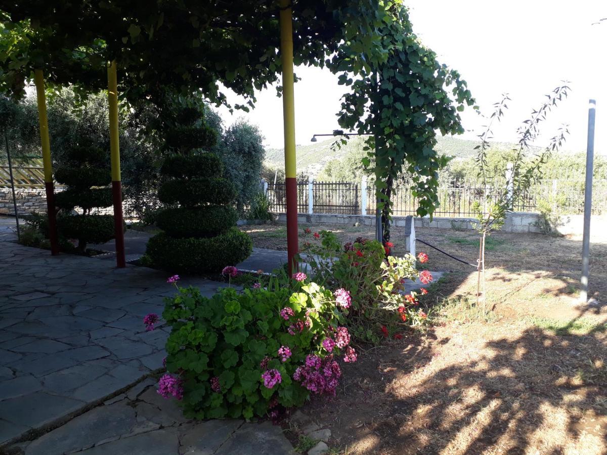 Studio Zoi Βίλα Αλυκή Εξωτερικό φωτογραφία