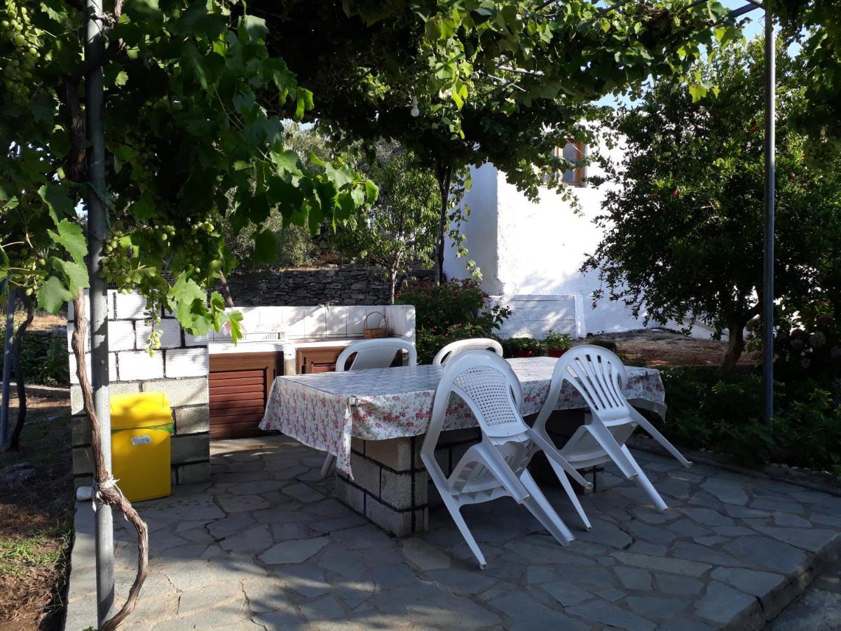 Studio Zoi Βίλα Αλυκή Εξωτερικό φωτογραφία